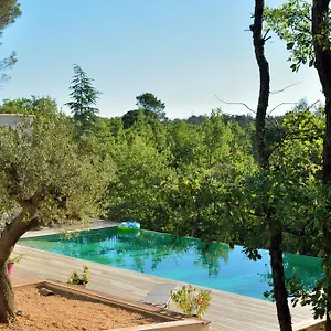Sous Les Oliviers - Jacuzzi - Charming 5* Saint-Maximin